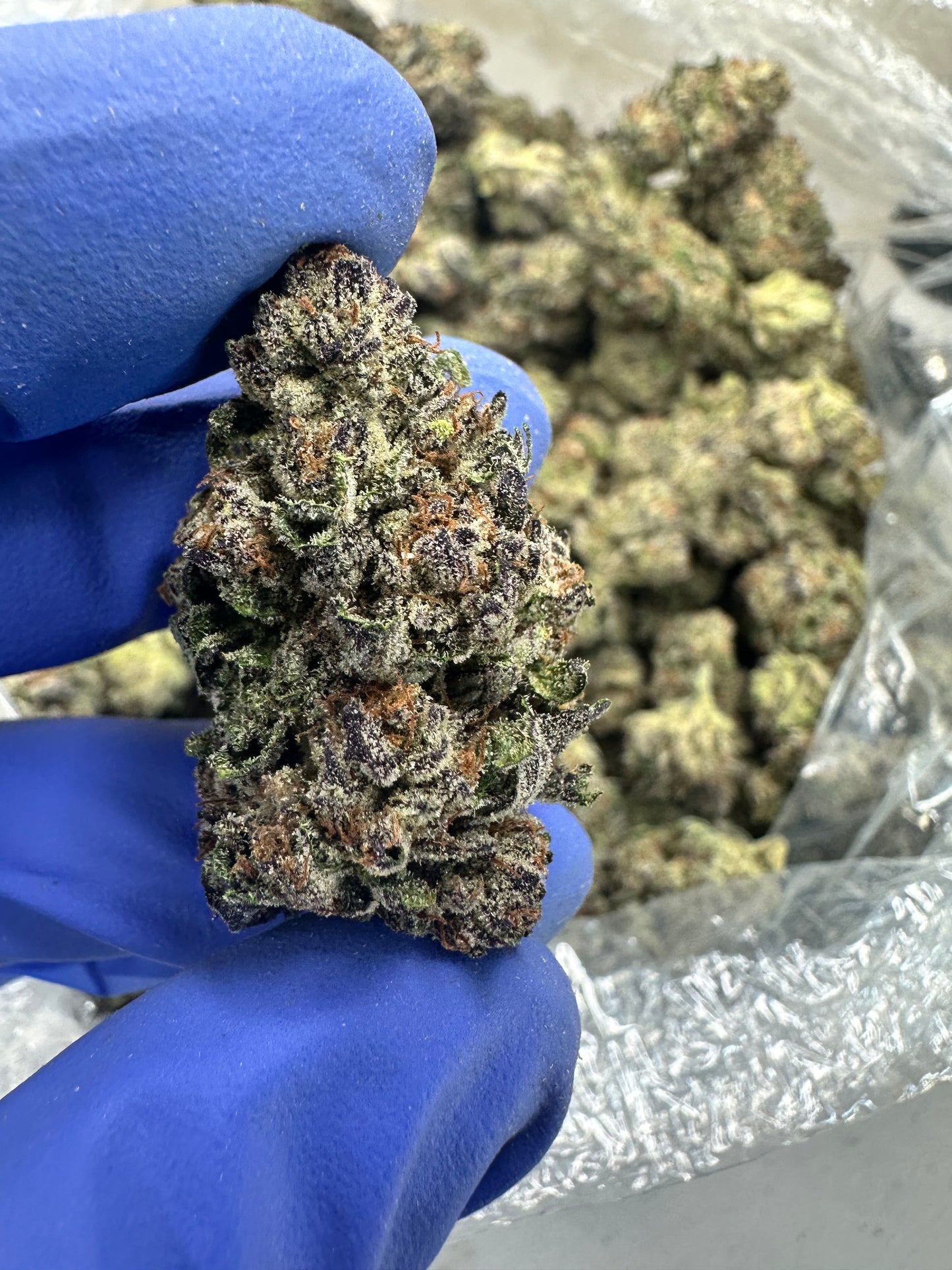 Strawberry Candied Gelato