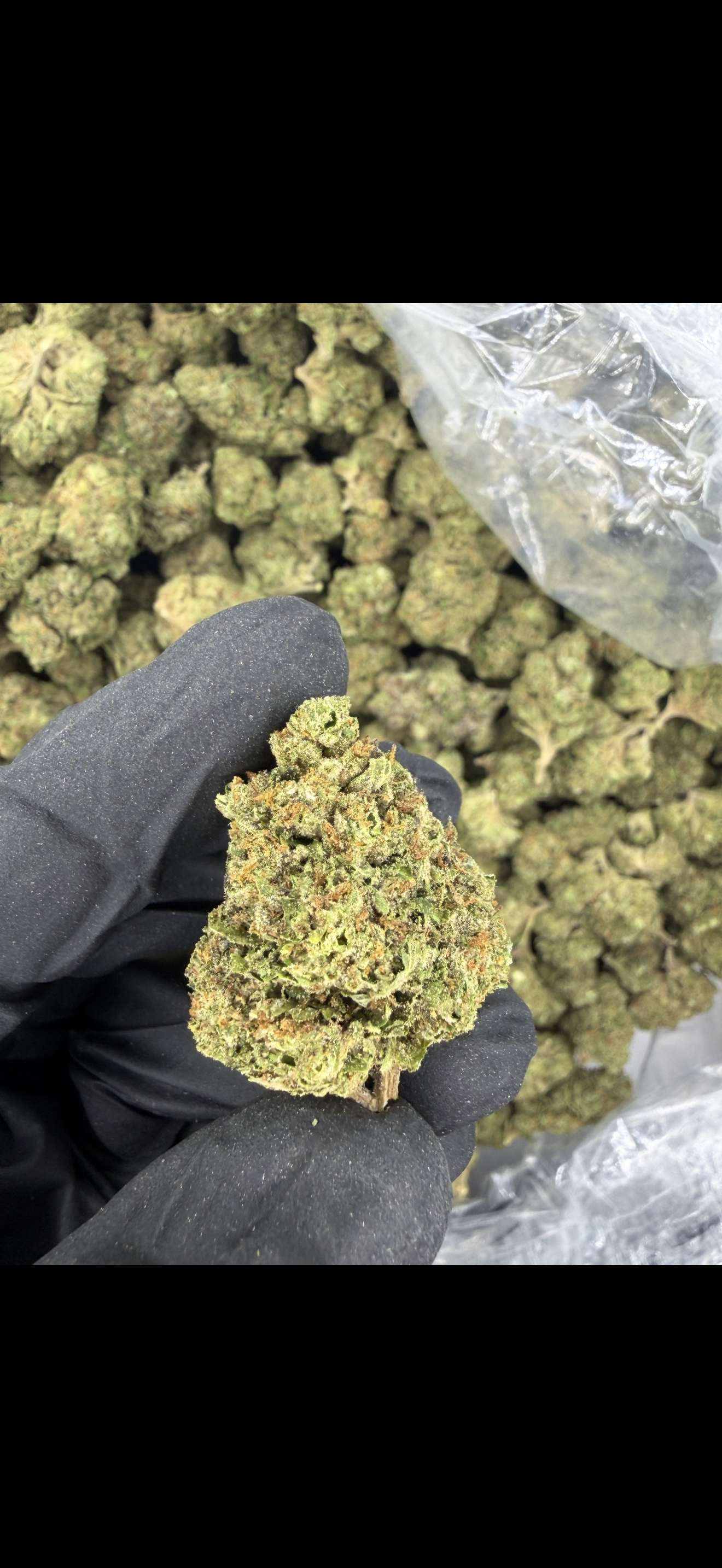 Permanent Marker Indoor Light Assist