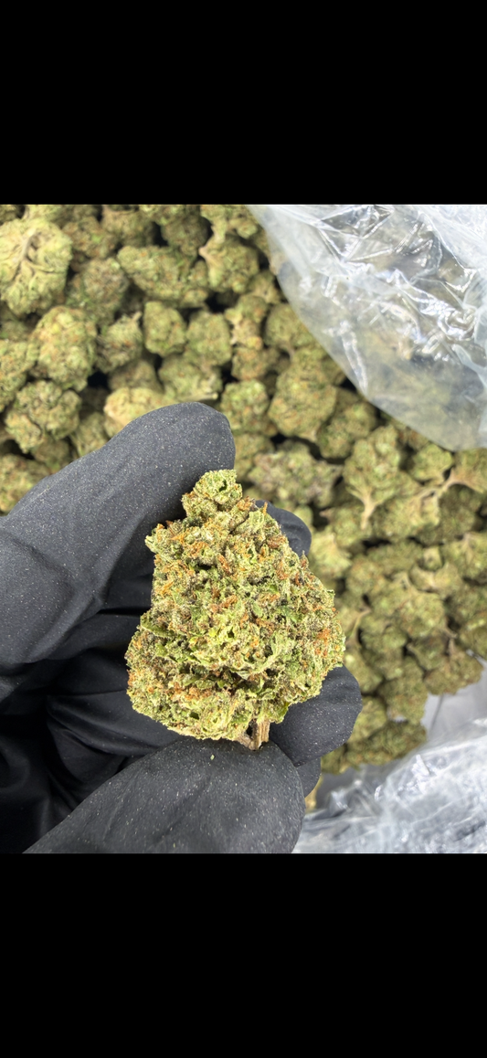 Permanent Marker Indoor Light Assist