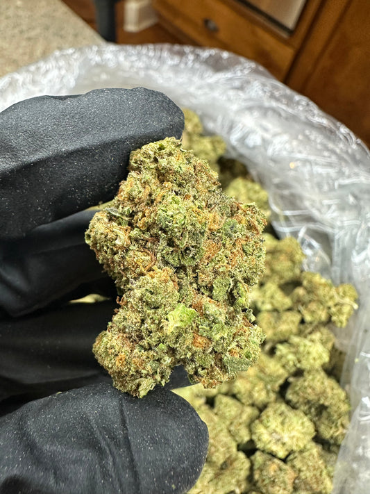 Cadillac Rainbows Indoor Light Assist