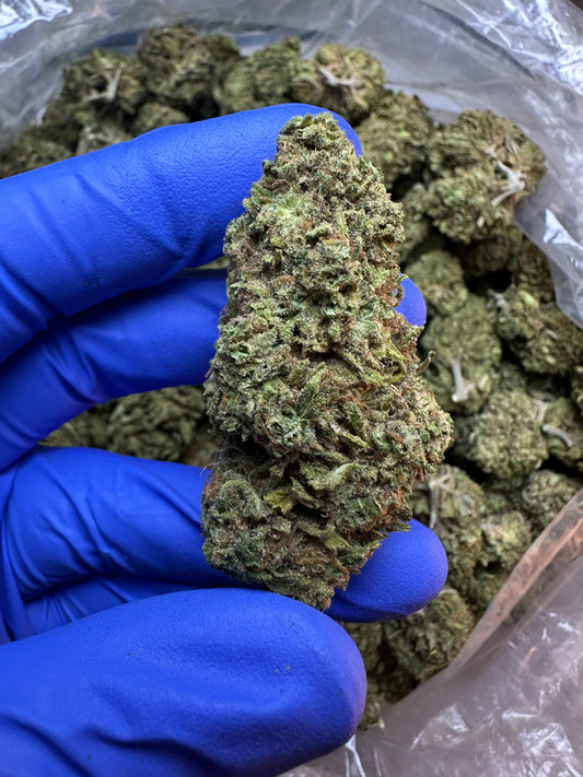 Mango Breath Green House