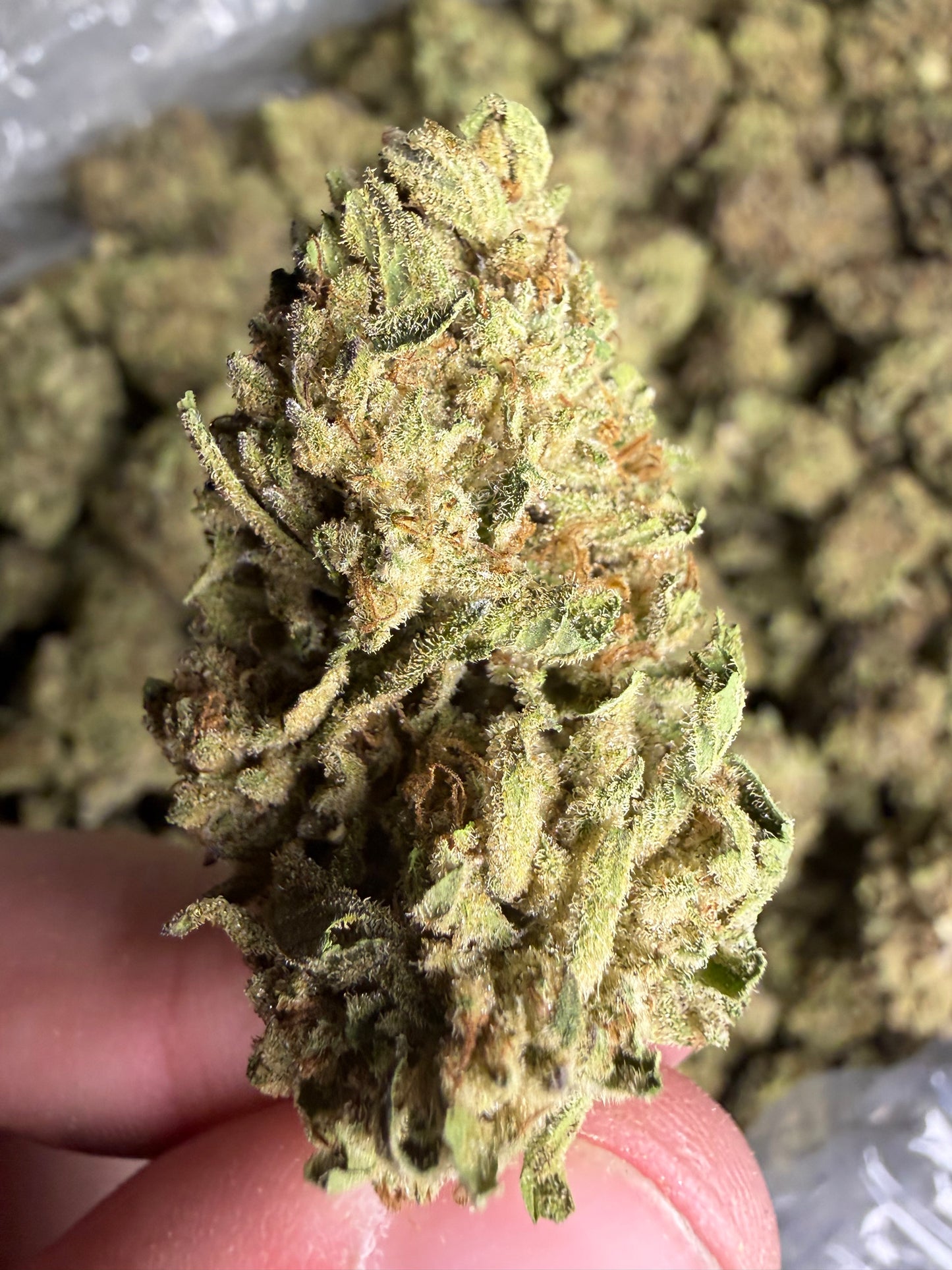 Oreoz Indoor Light Assist