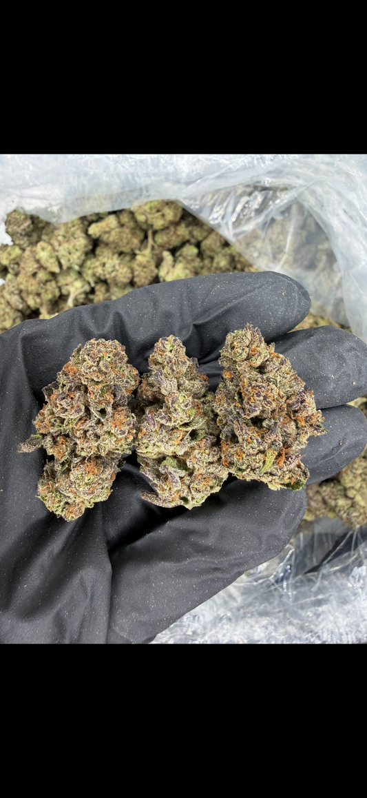 Kush Mintz Indoor Light Assist