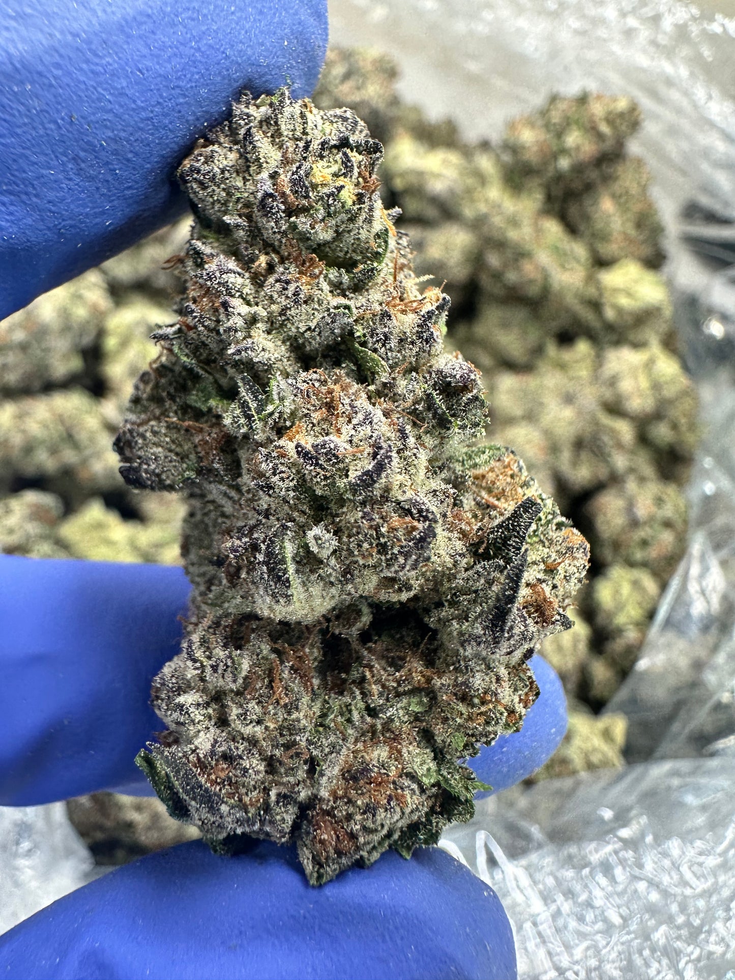 Strawberry Candied Gelato