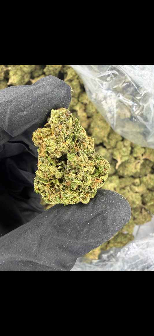 Permanent Marker Indoor Light Assist