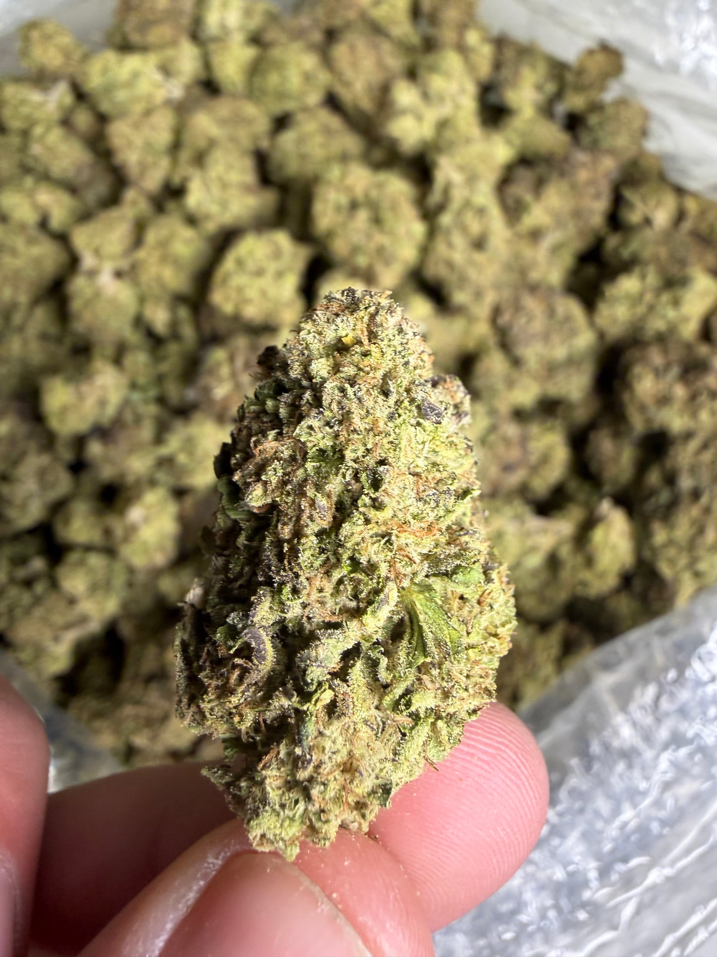 Blue Sourz (ships June 3rd)