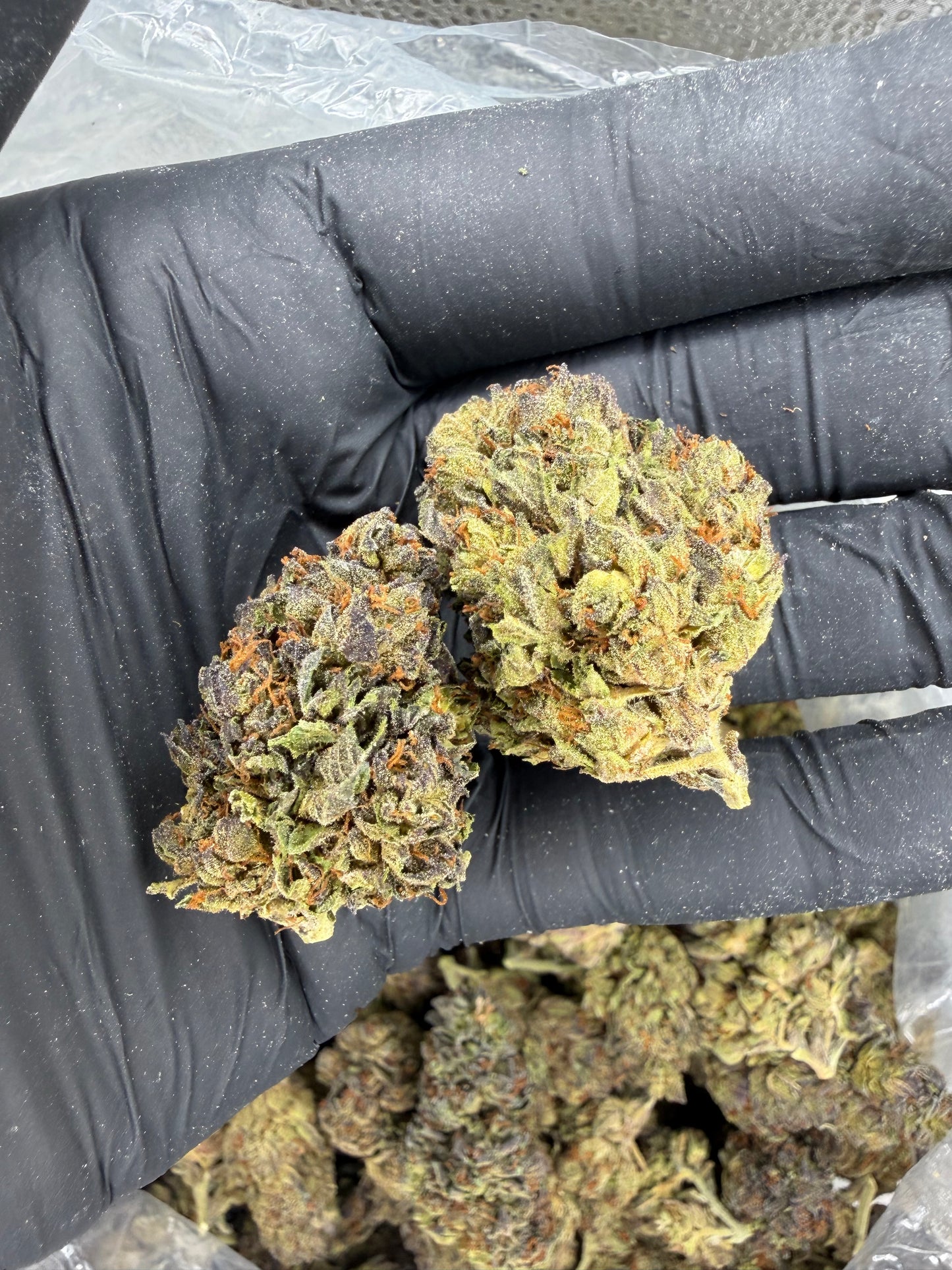Purple McGoo (read description)
