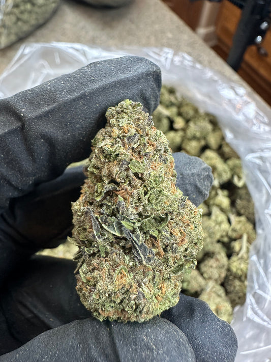 Gelato Shmediums (older harvest)