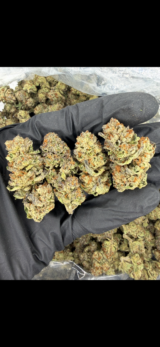 Illuminati Indoor Light Assist