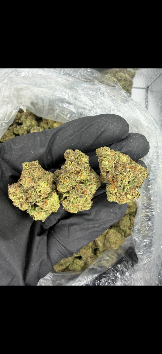 Crack Cake Indoor Light Assist