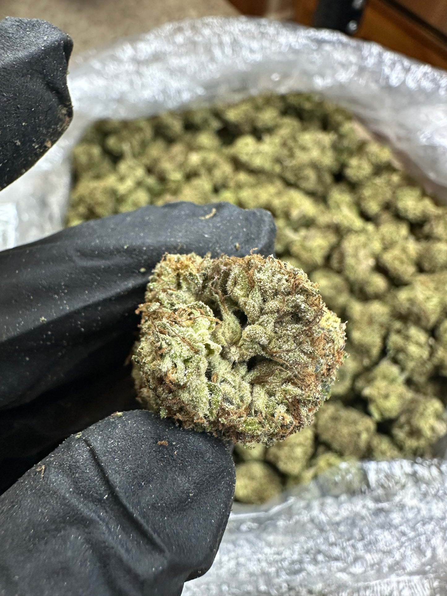 Slurricane Indoor Light Assist