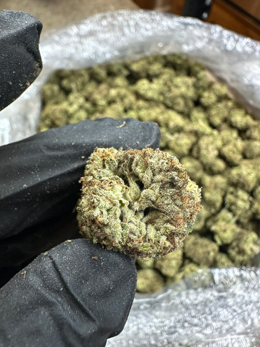 Slurricane Indoor Light Assist