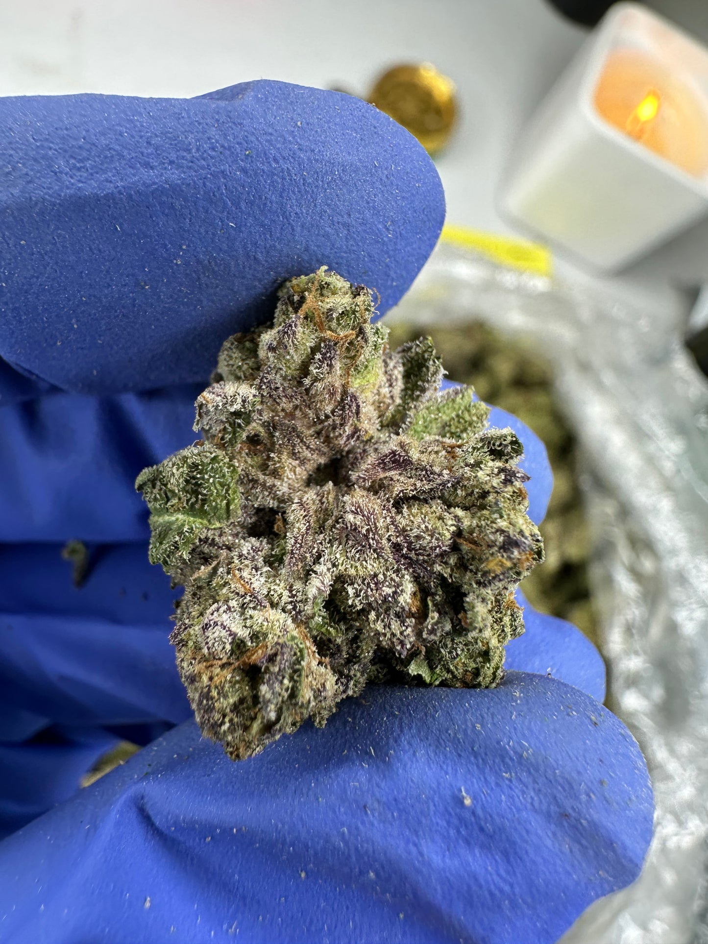 Quantum Canna