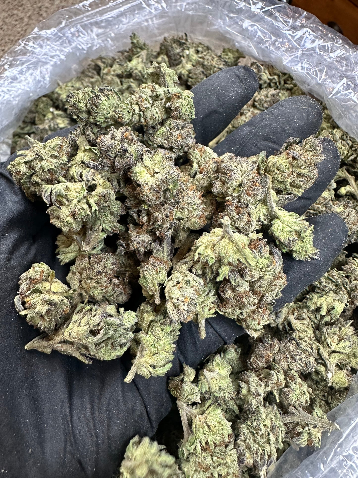 Modified Grapes Indoor Mediums