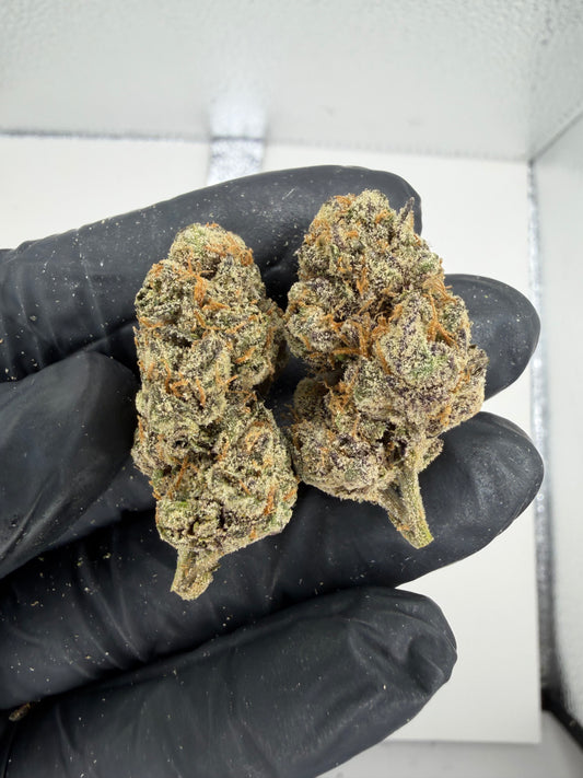 Candy Man’s Dream Cannaisseur