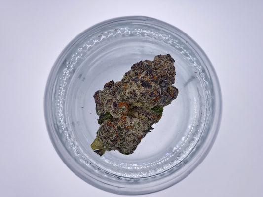 El Chivo Cannaisseur Grade (Top Shelf Exotic)