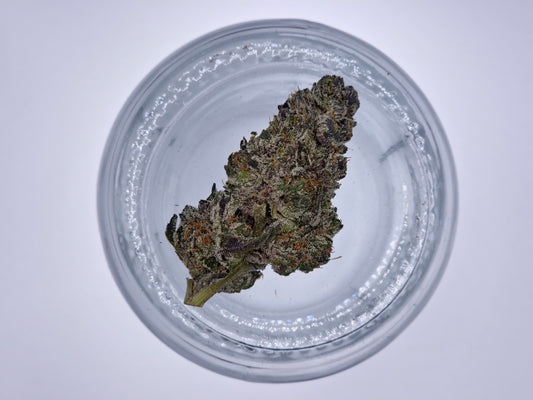 Intense Potent Cannabis Cannaisseur Grade (Top Shelf Exotic)