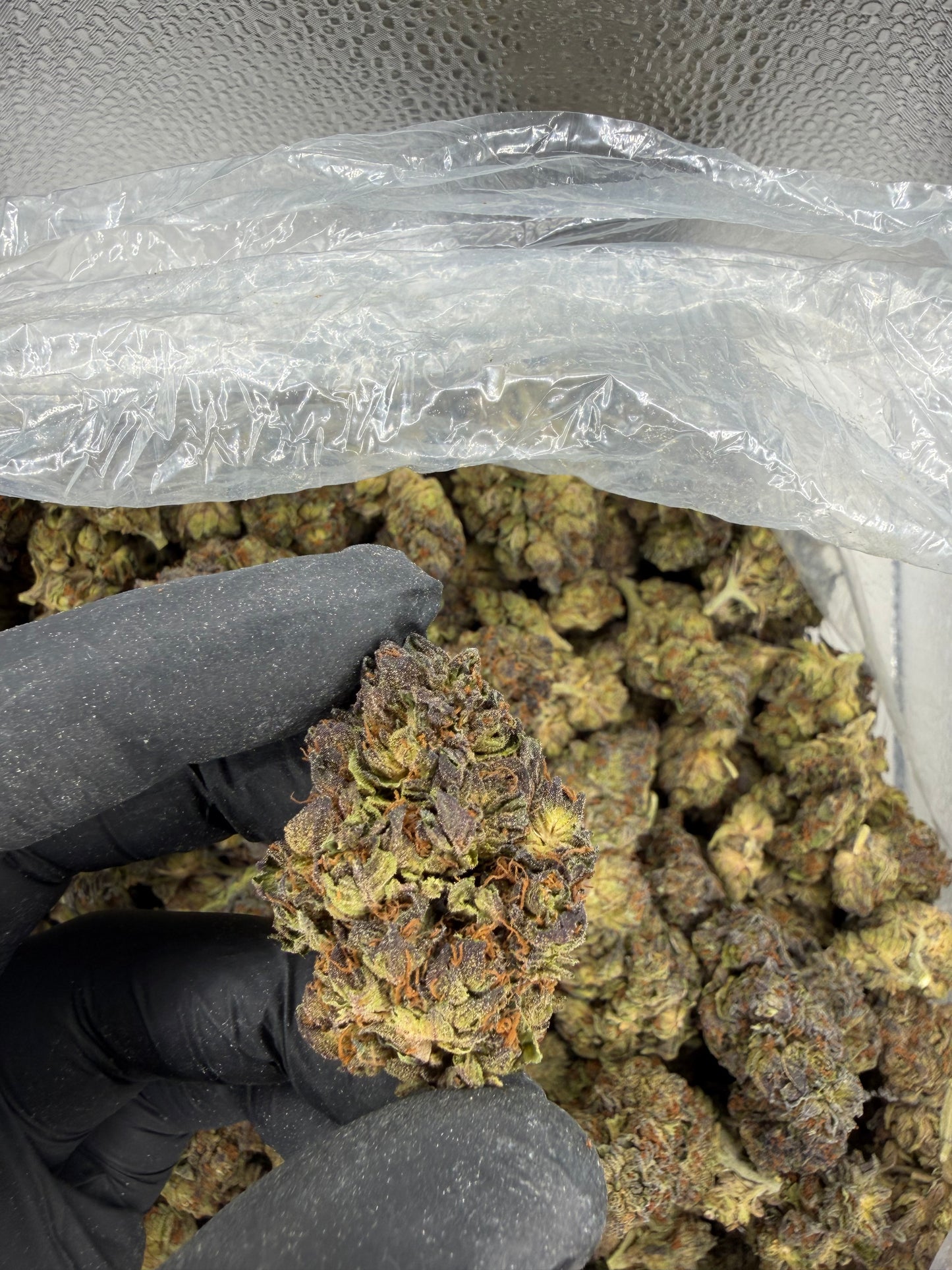Purple McGoo (read description)