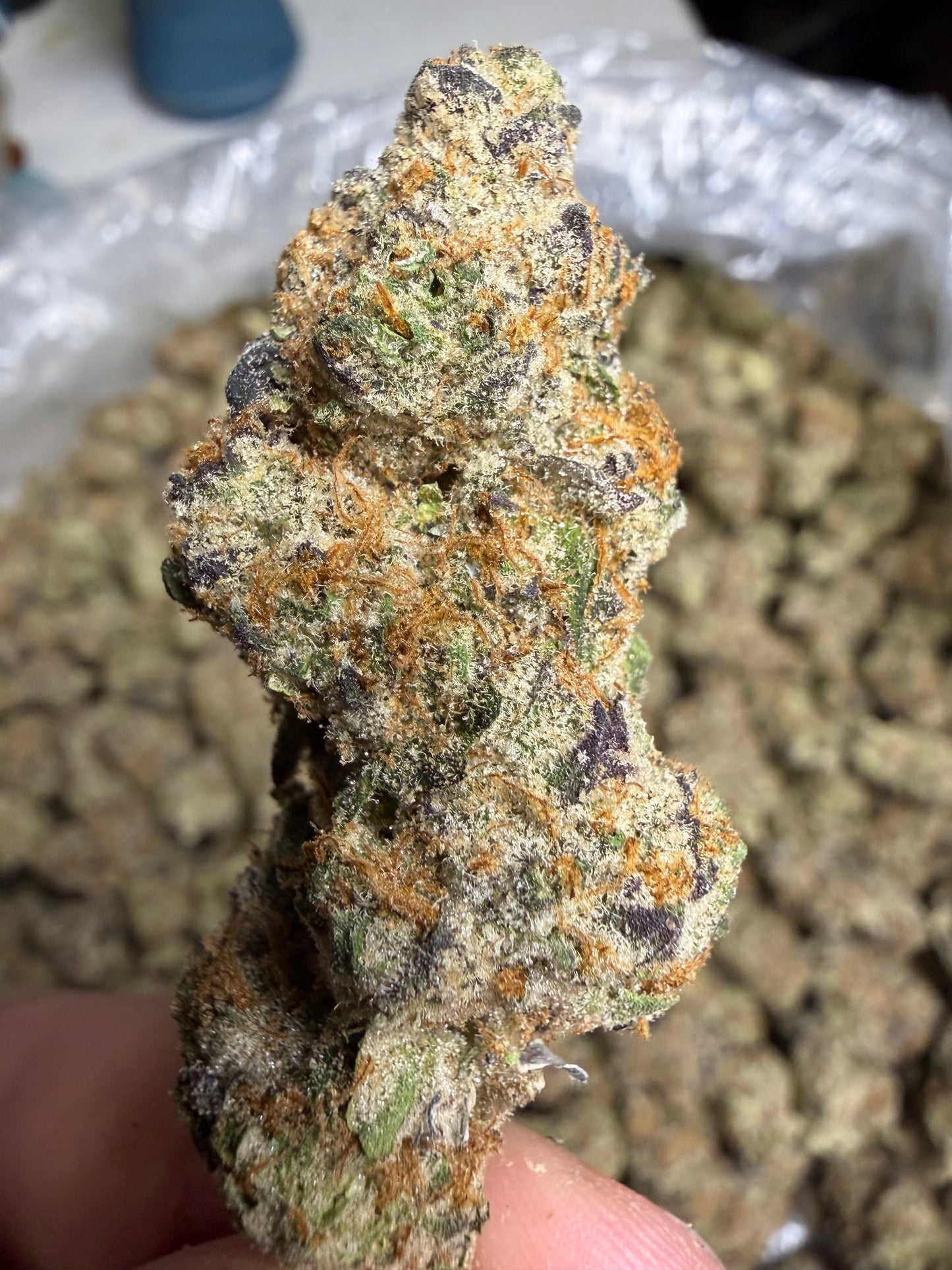 Funk In The Trunk Cannaisseur Exotics ships Monday