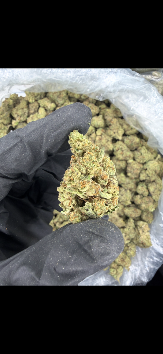 Jelly Cake Indoor Light Assist