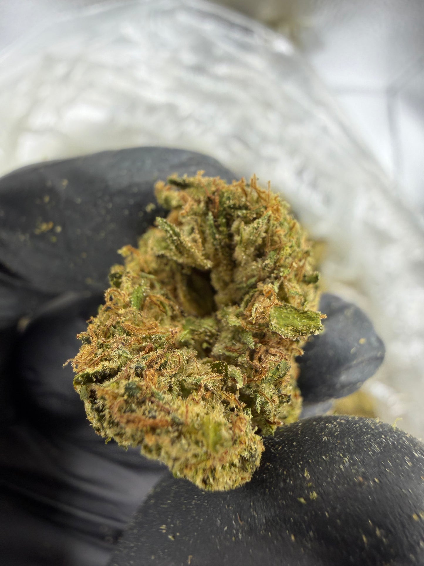 Cyber Runtz outdoor
