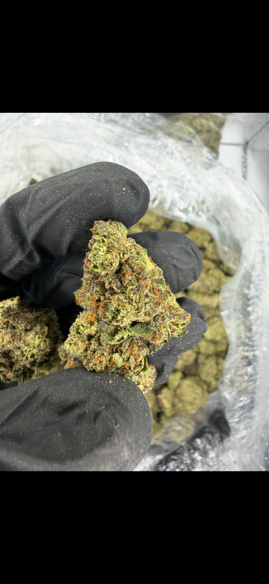 Crack Cake Indoor Light Assist