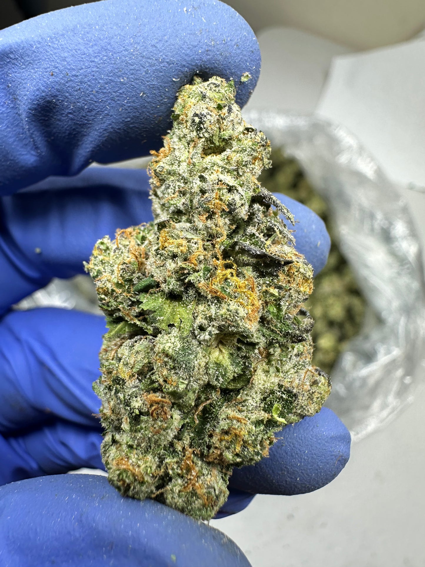 Pineapple Express exotic