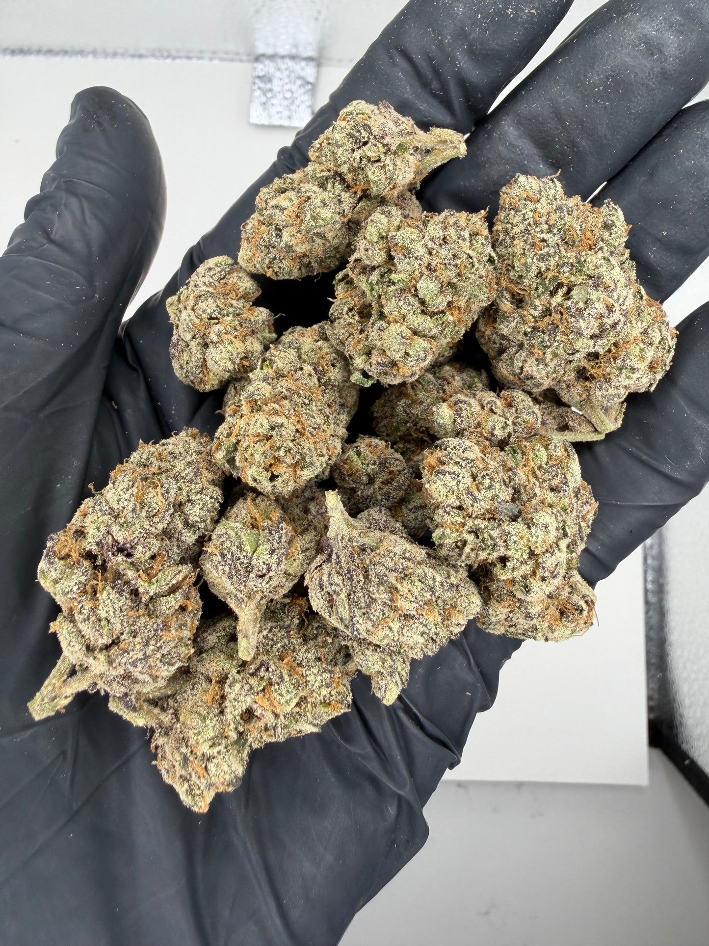 Candy Man’s Dream Cannaisseur