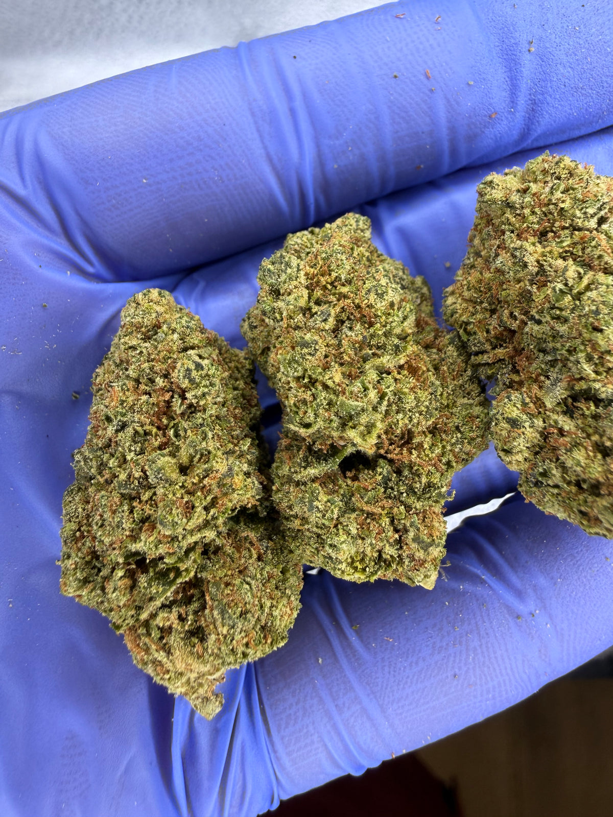 Sour Diesel Cookies Indoor Light Assist AAA