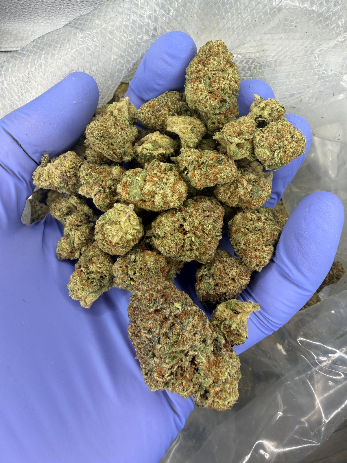 Zkittle Pop Exotics