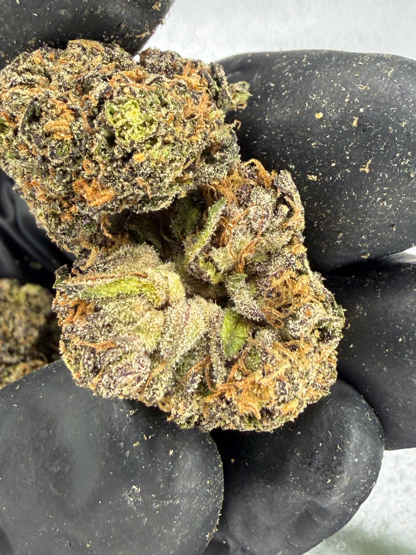 Pinnacle Runtz Small Batch Connoisseur Grade exotics