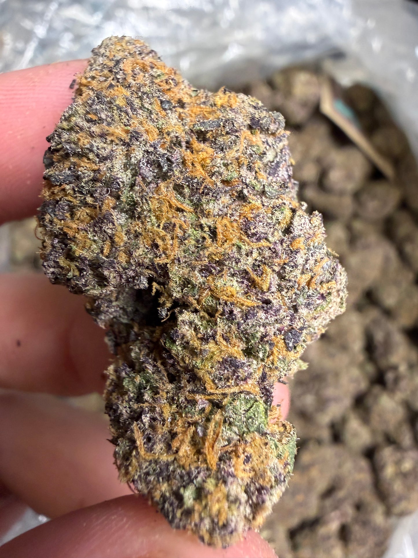 Zoap Cannaisseur Exotics ships Monday