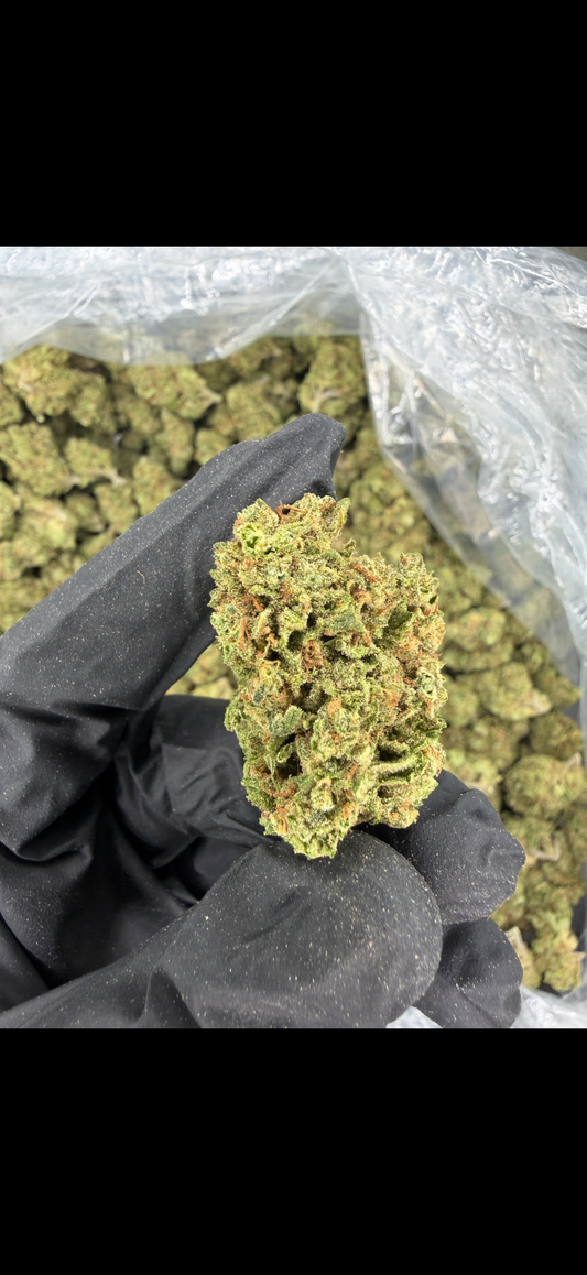 Blue Dream (fresh) Indoor light Assist