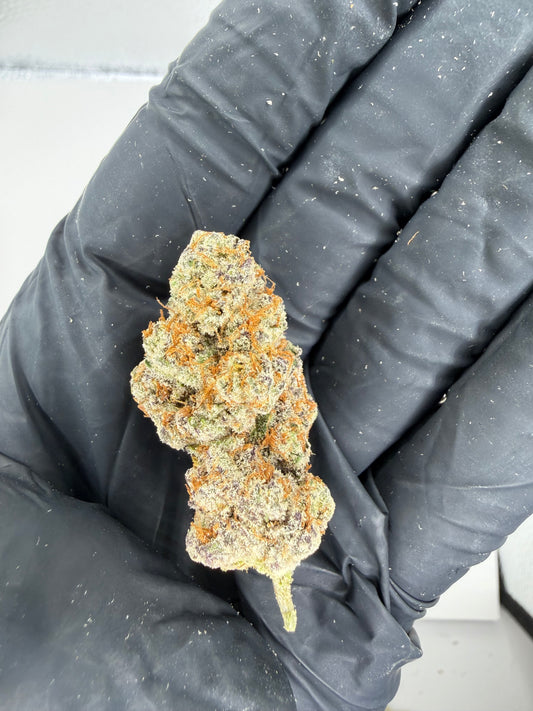 Strawberry Cough (hard to find rare) Cannaisseur Exotics