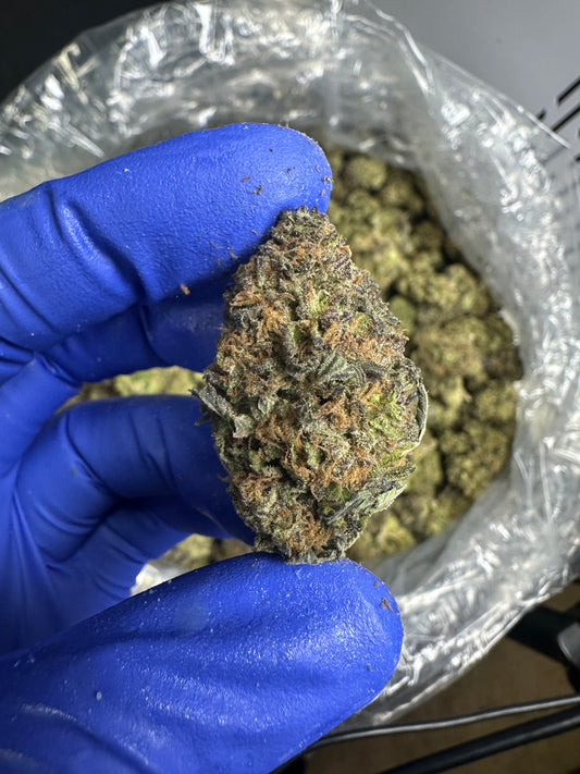 Purple Urkle Green House