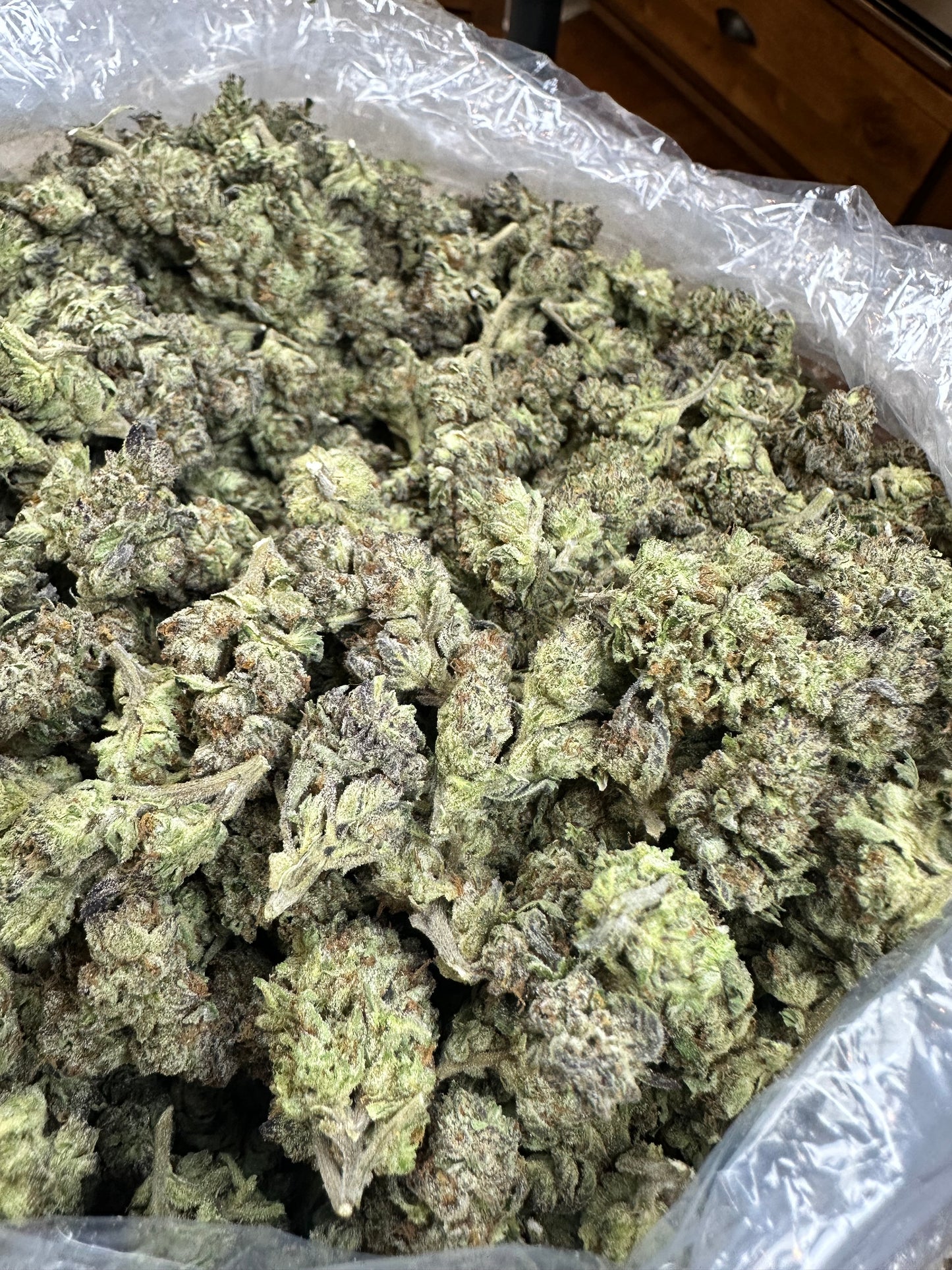 Modified Grapes Indoor Mediums