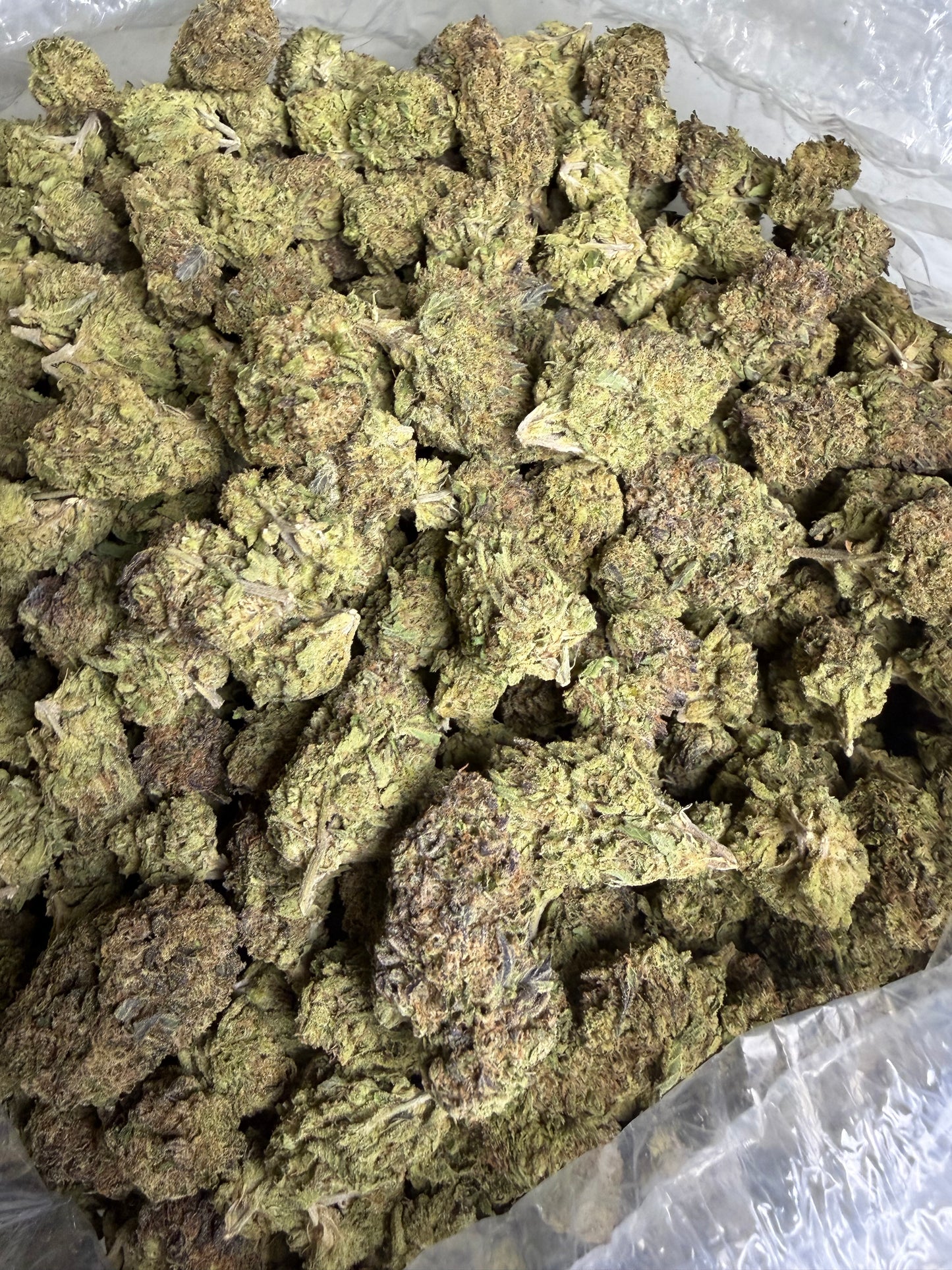 Blue Sourz (ships June 3rd)