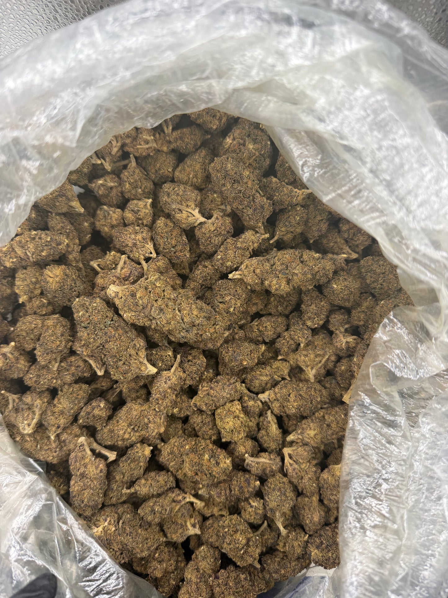 Purple Kush old out door (read description)