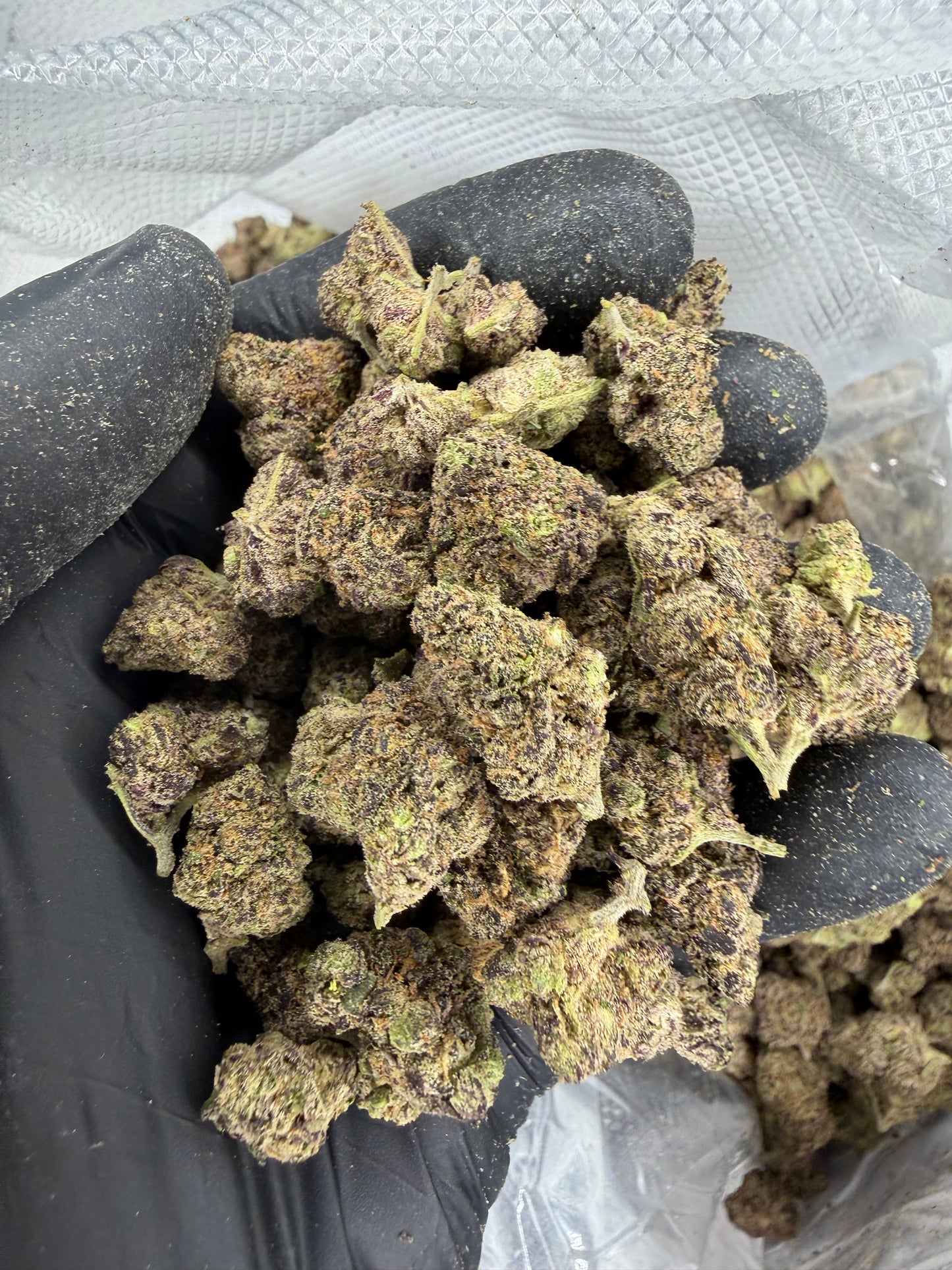 Candy Grape Gas Exotic Smalls