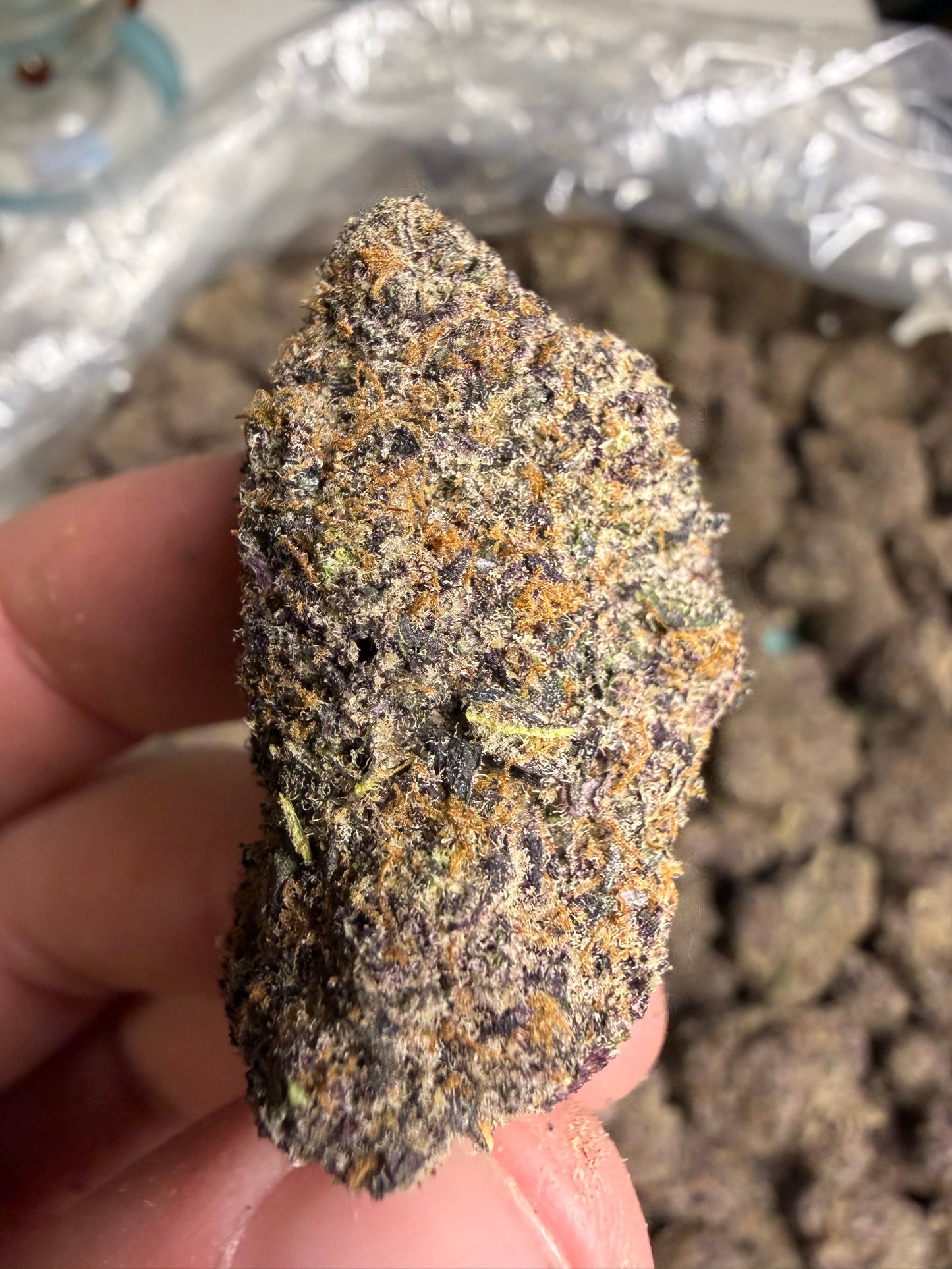 Astro Pop Cannaisseur Exotics ships Monday