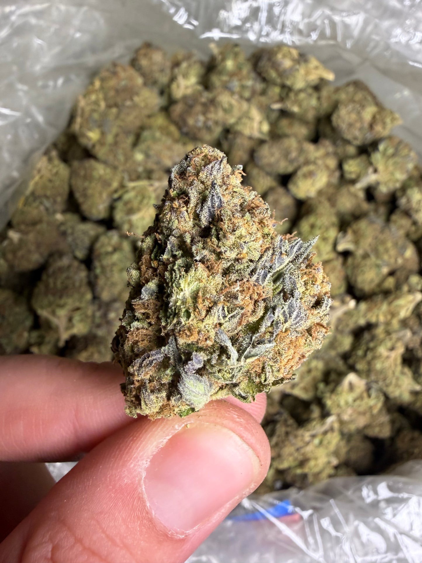 Purple punch old batch ships June 3rd