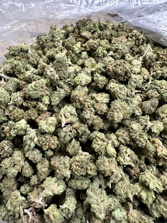 Blue Dream Greenhouse Smalls