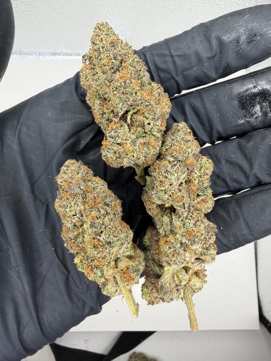 Cosmic Birthday Cake Cannaisseur Exotics