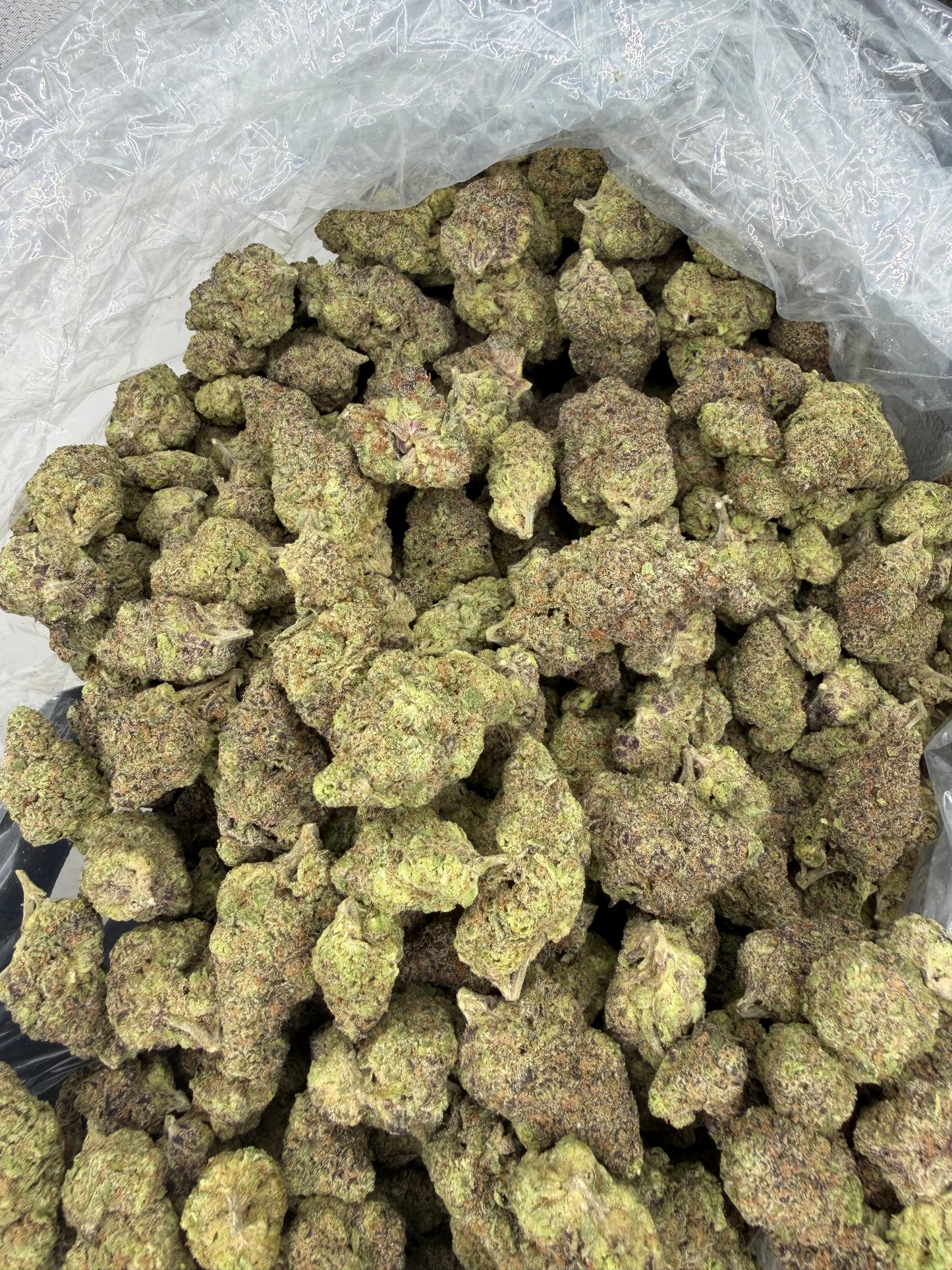 Gush Mints Exotic indoor