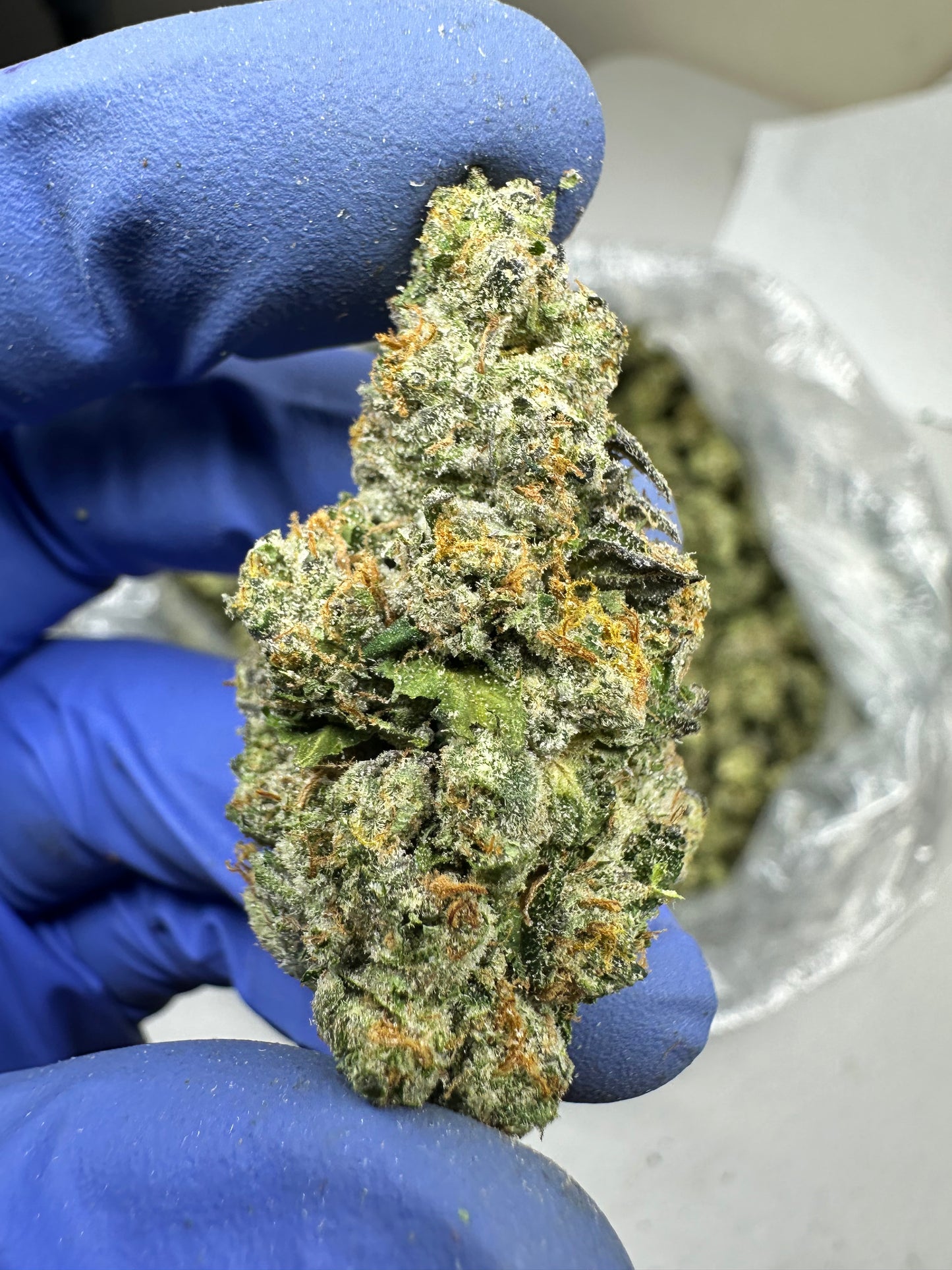 Pineapple Express exotic