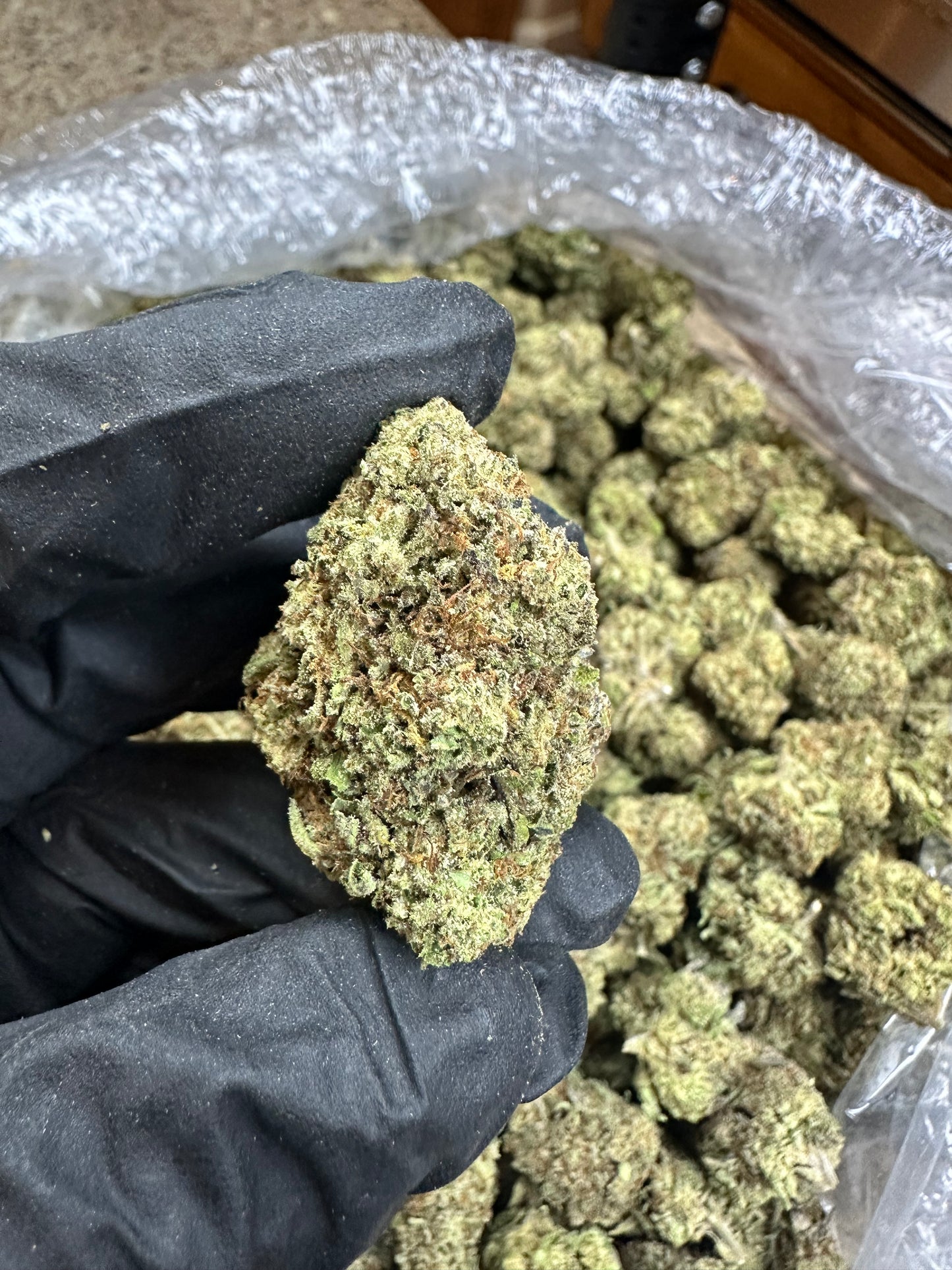 Slurricane Indoor Light Assist