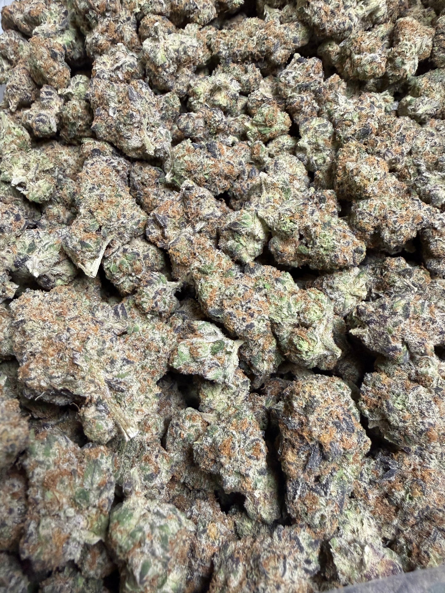 Funk In The Trunk Cannaisseur Exotics ships Monday