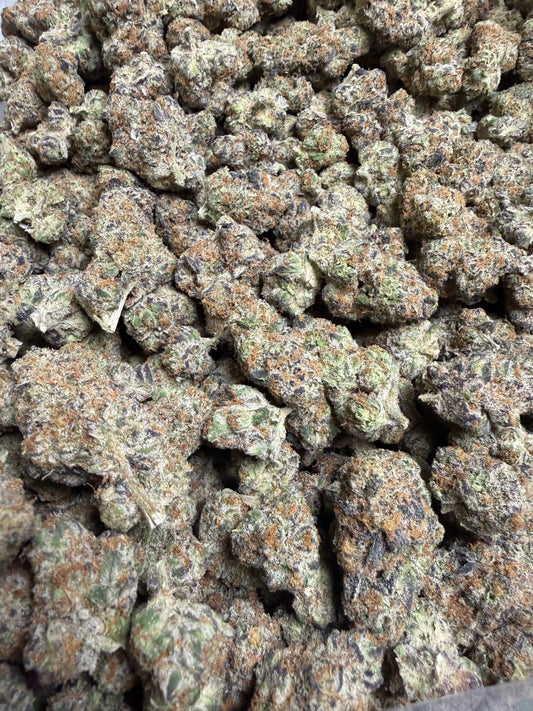 Funk In The Trunk Cannaisseur Exotics ships Monday