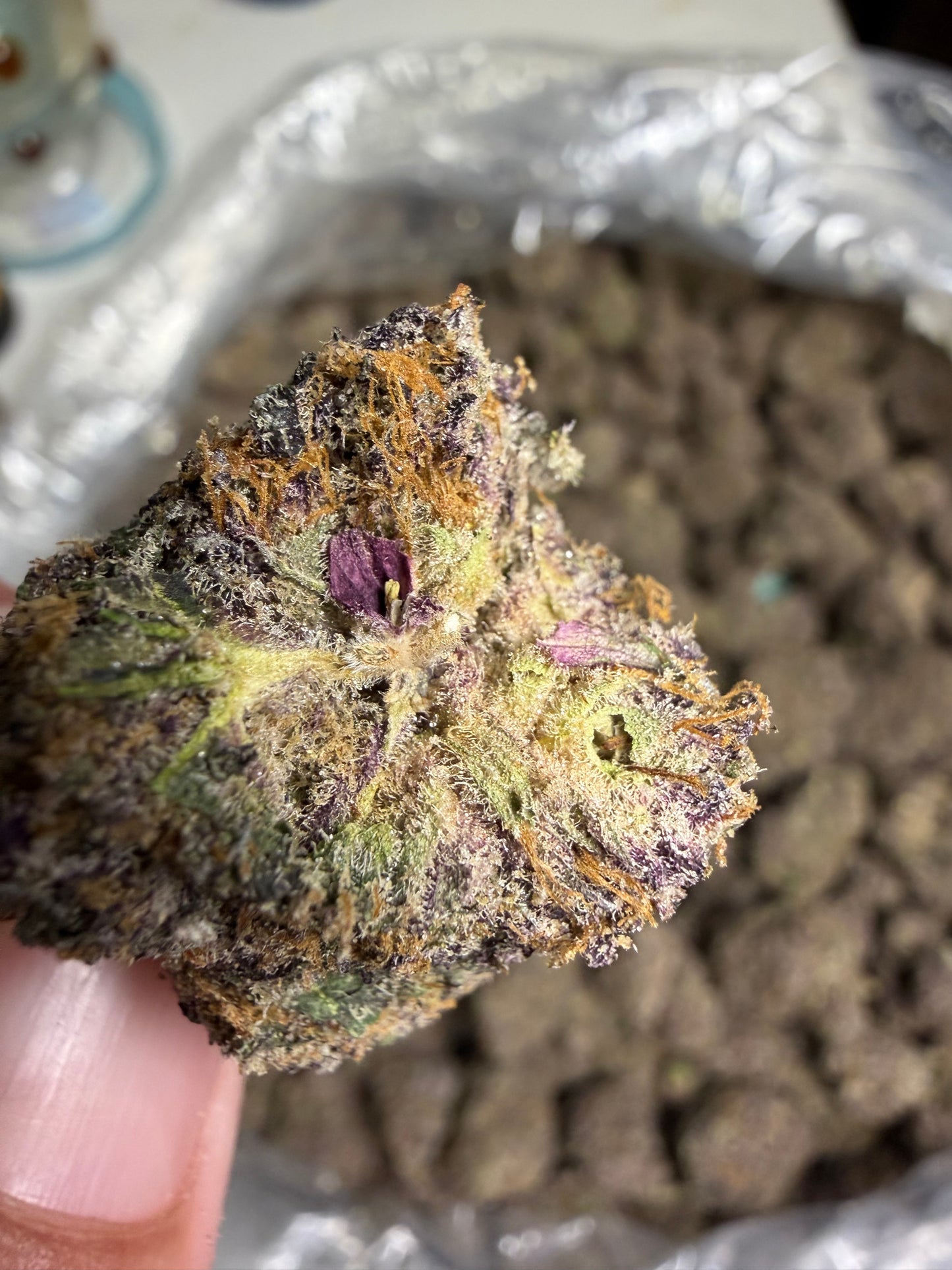 Astro Pop Cannaisseur Exotics ships Monday
