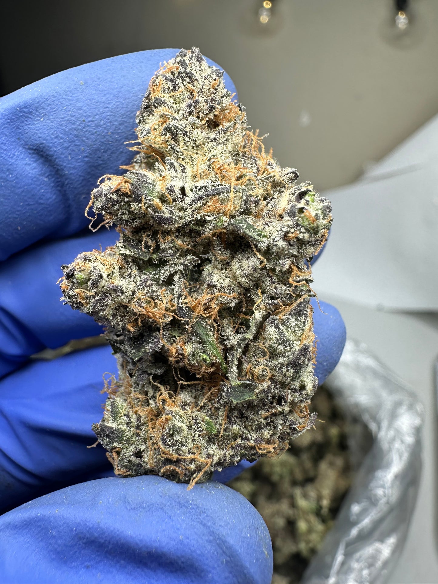 London Truffles exotics